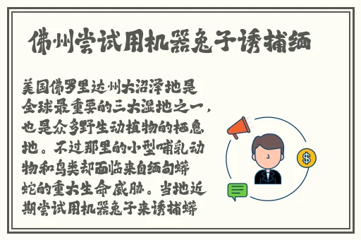魅影5.3直播